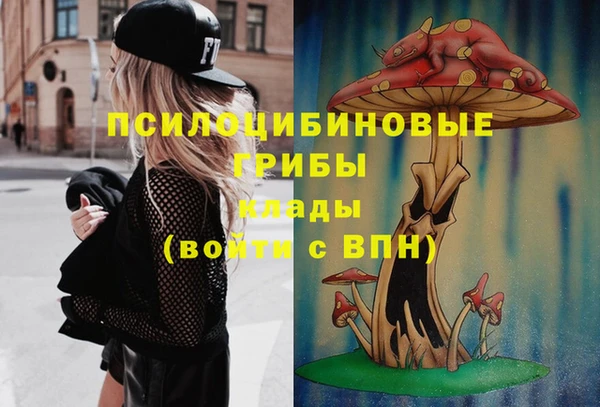 мяу мяу мука Алзамай