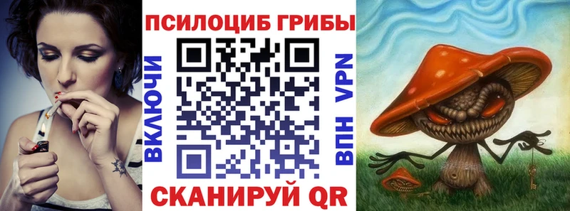 Галлюциногенные грибы Psilocybine cubensis Карачев