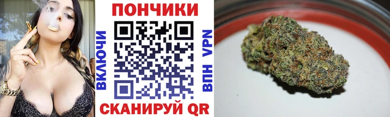 где можно купить наркотик  Карачев  Бошки марихуана марихуана 